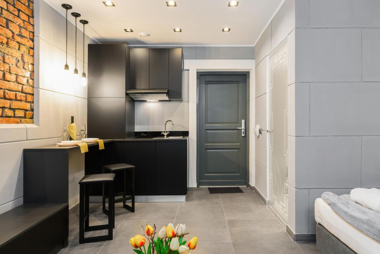 Level -1 Loft Apartments City Center Kopernika 波兹南 外观 照片