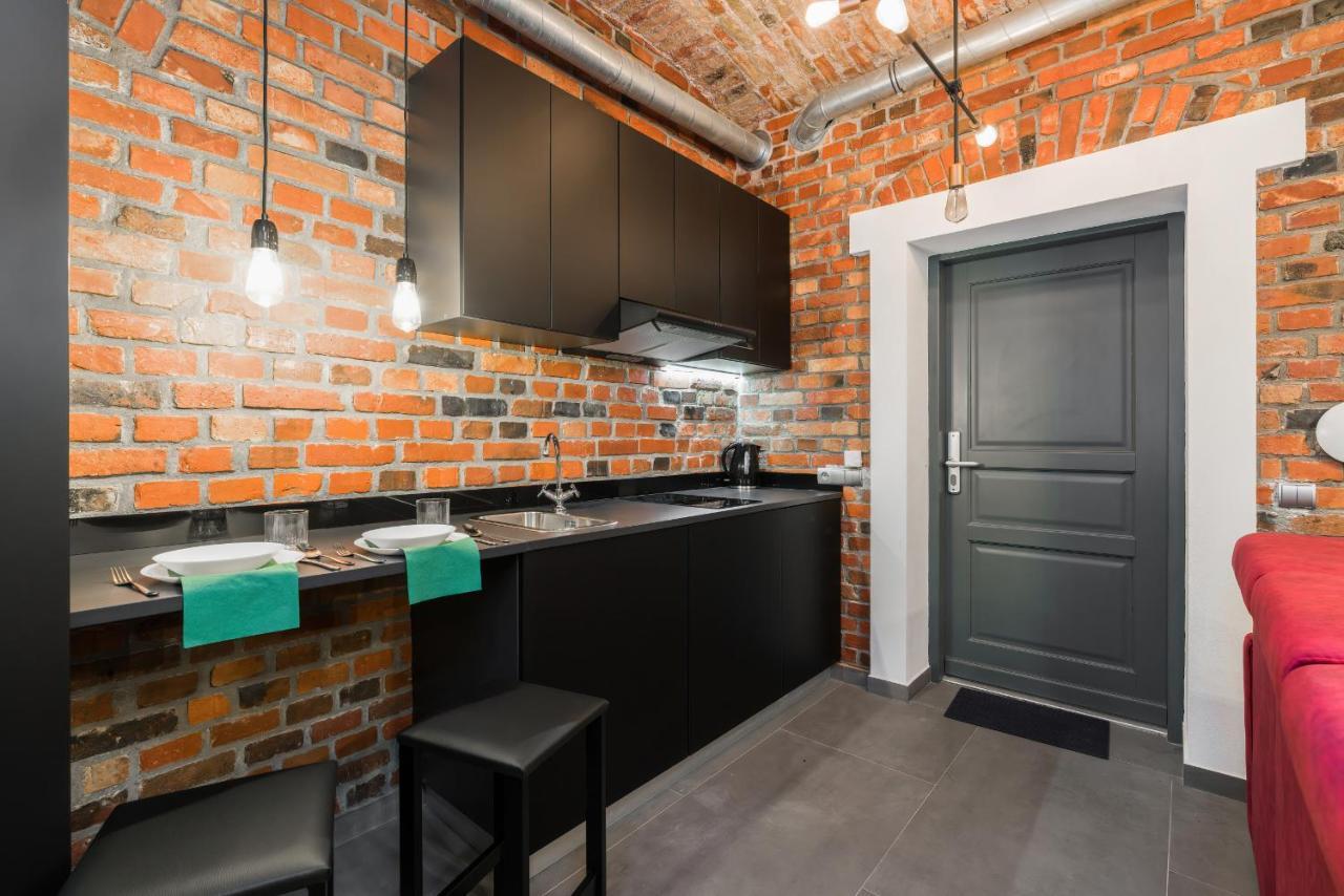 Level -1 Loft Apartments City Center Kopernika 波兹南 外观 照片