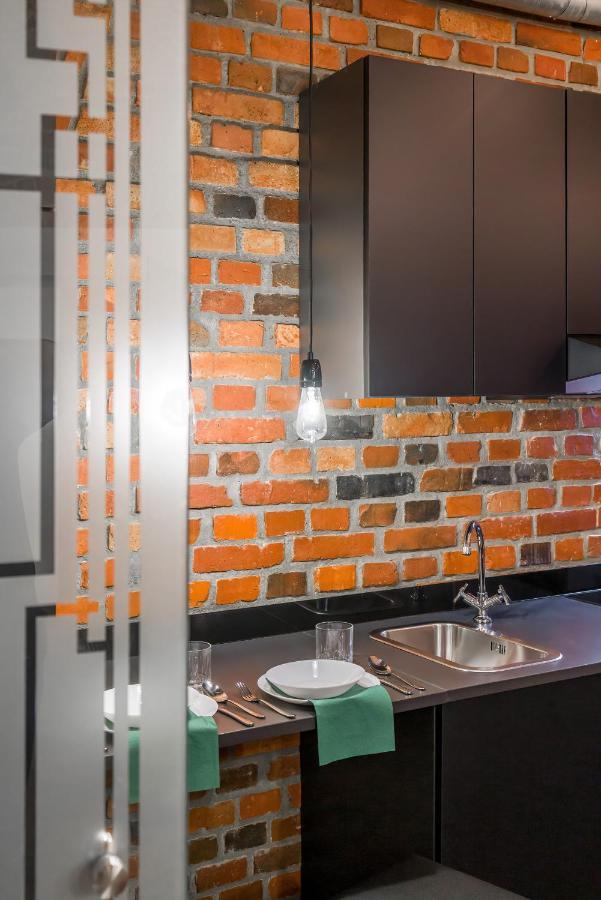 Level -1 Loft Apartments City Center Kopernika 波兹南 外观 照片